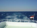 DSC04539.JPG