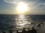 DSC04566.JPG