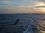 DSC04617.JPG