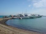 DSC04635.JPG