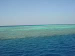 DSC04875.JPG