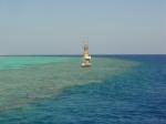DSC04876.JPG