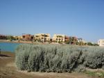 DSC04970.JPG