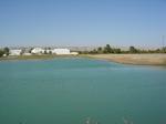DSC04978.JPG
