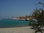 DSC05224.JPG